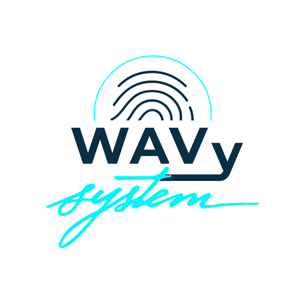 WavySystem